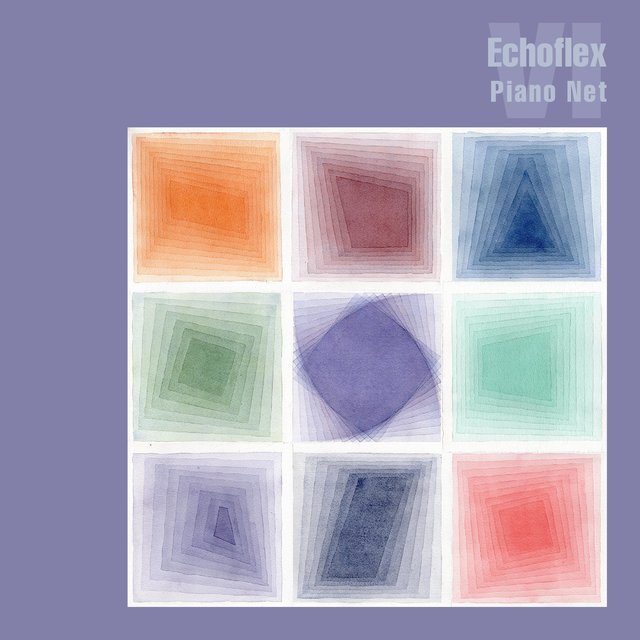 Echoflex VI: Piano Net
