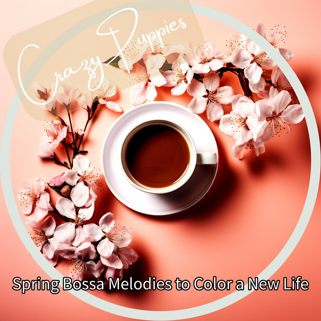 Spring Bossa Melodies to Color a New Life