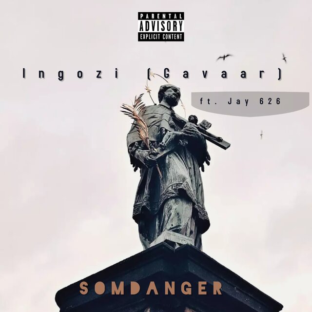 Ingozi (Gavaar)