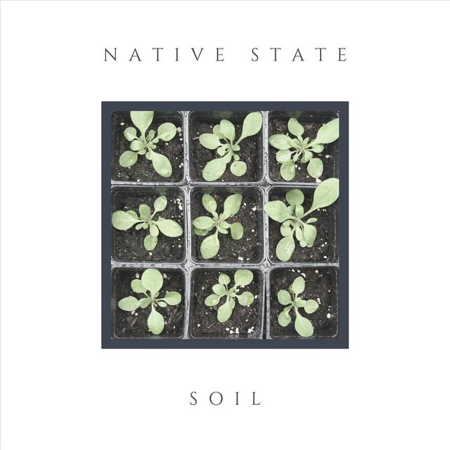 Soil