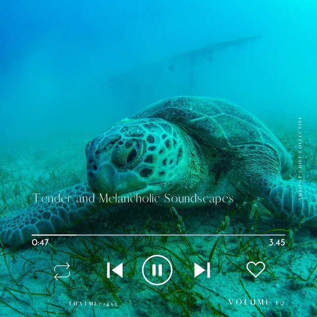 Tender and Melancholic Soundscapes - Ambient Chill Collective, Vol. 10