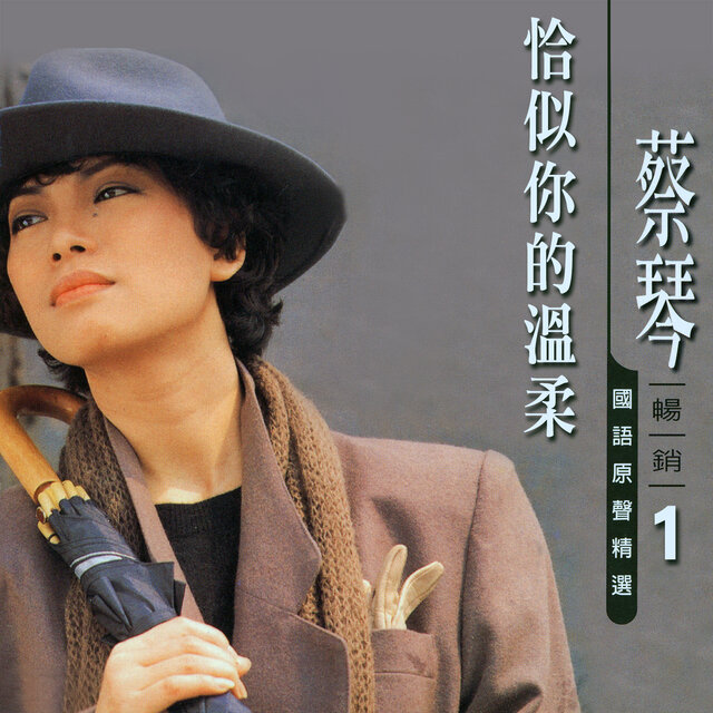 恰似你的溫柔 (蔡琴國語原聲暢銷精選1)