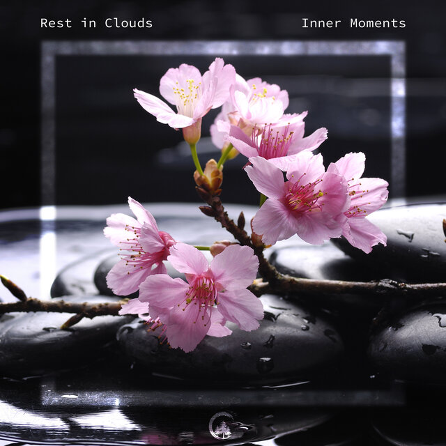 Inner moments
