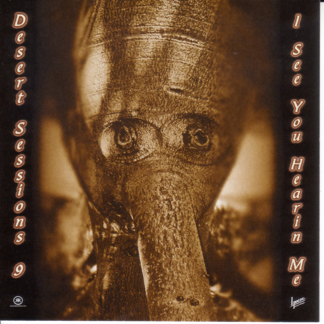 The Desert Sessions Volume 9 & 10