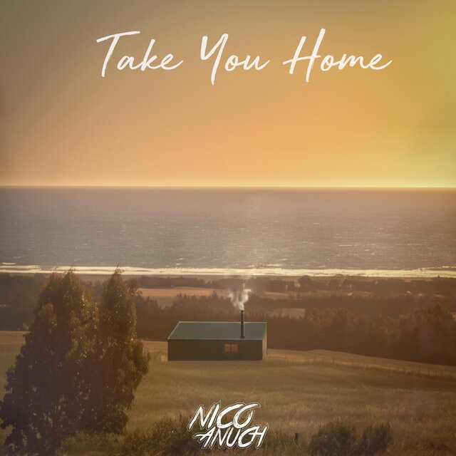 Take You Home