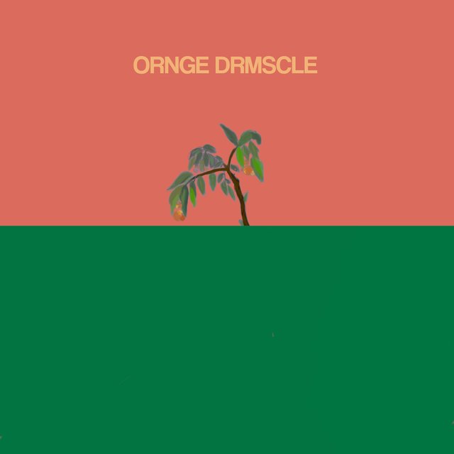 ORNGE DRMSCLE
