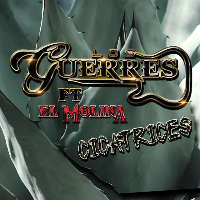 Cicatrices