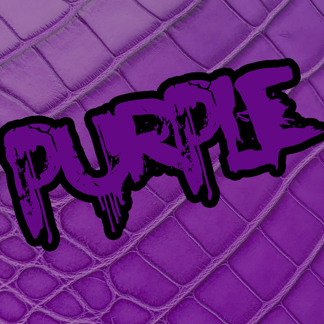 Type Beat Trap Plug Purple 2022