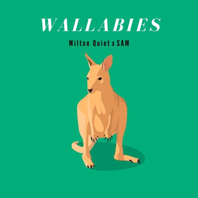 Wallabies