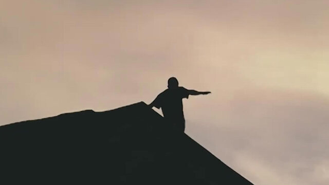 Pigeon