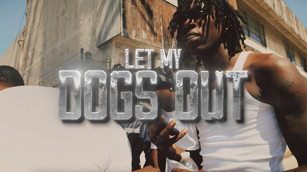Let My Dogs Out