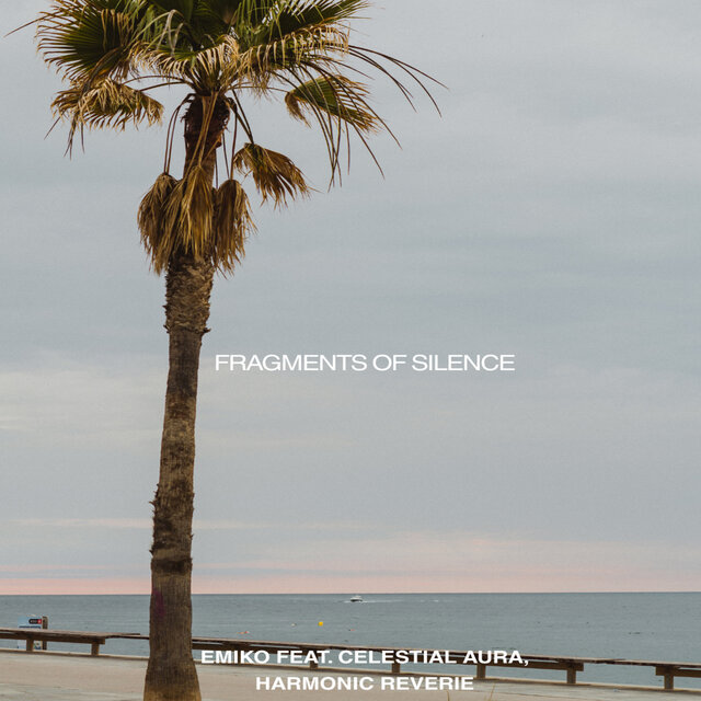 Fragments of Silence