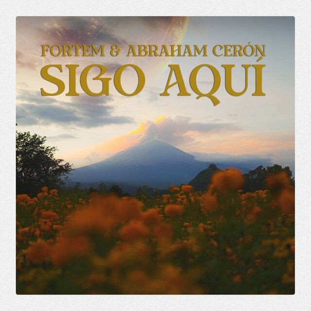 Sigo Aquí
