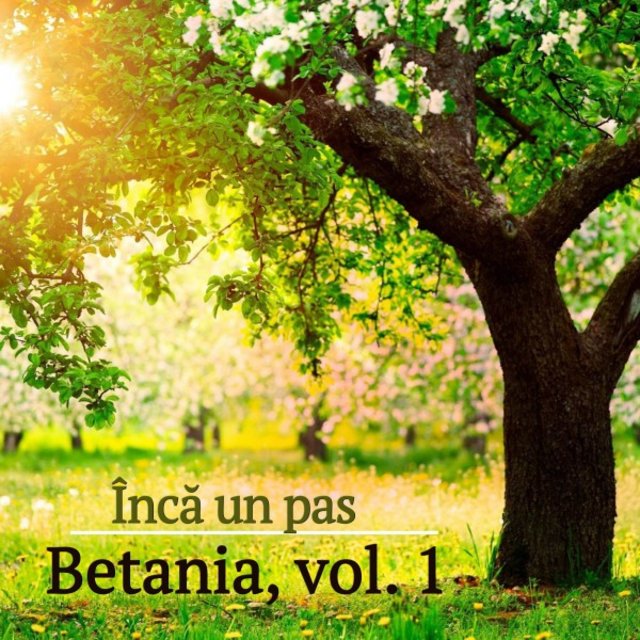 Betania, vol. 1 - 