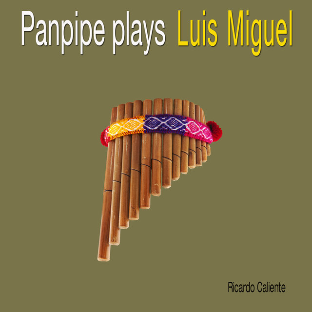 Panpipe Plays Luis Miguel