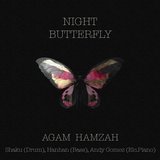 Night Butterfly