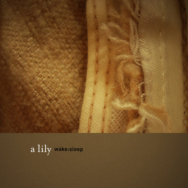wake:sleep