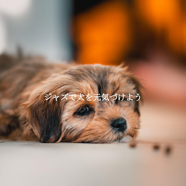 ジャズで犬を元気づけよう