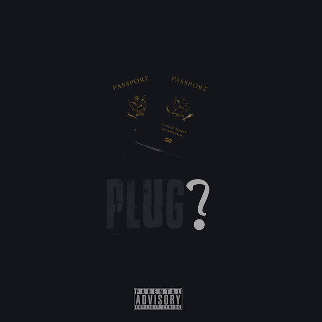 Plug