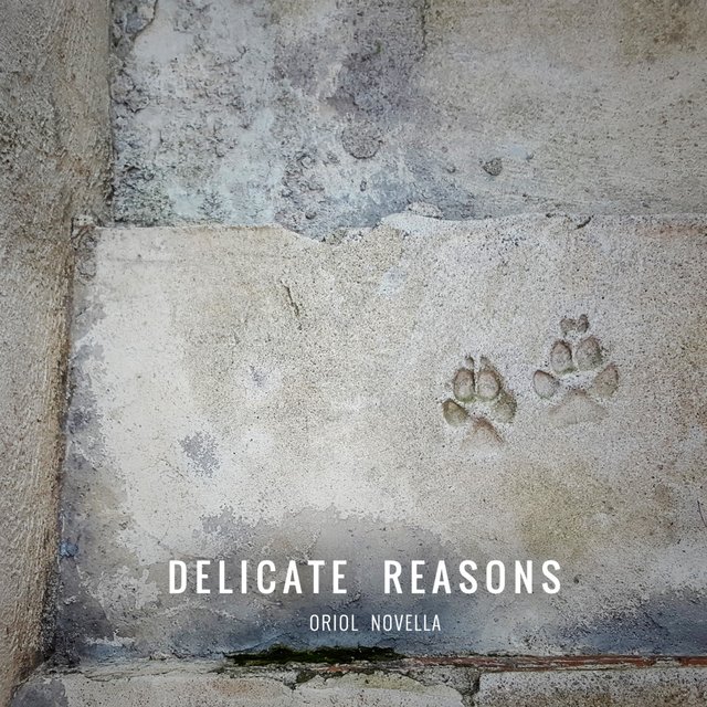 Delicate Reasons