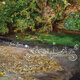 Cover art for album Her Melodious Lay by John Zorn, Julian Lage, Gyan Riley