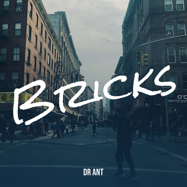 Bricks