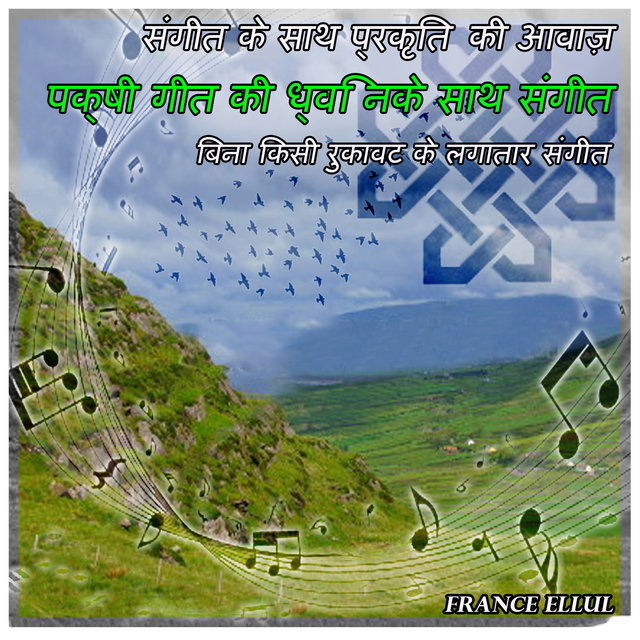 संगीत के साथ प्रकृति की आवाज़: पक्षी गीत की ध्वनि के साथ संगीत