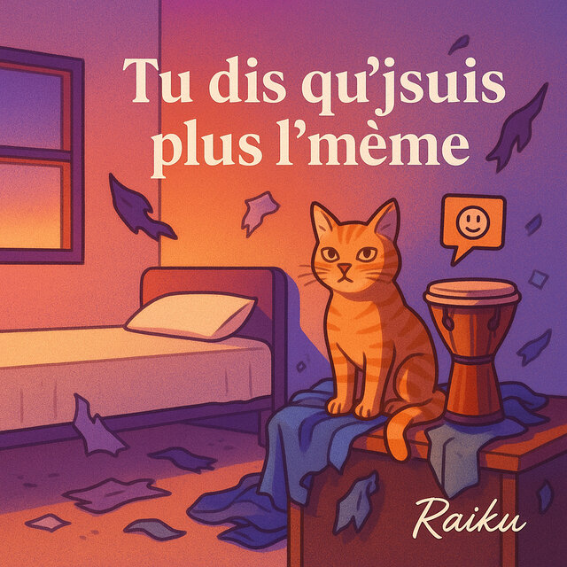 Tu dis qu’jsuis plus l’mème