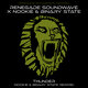 Cover art for album Thunder (Nookie & Binary State Rewire) by Renegade Soundwave