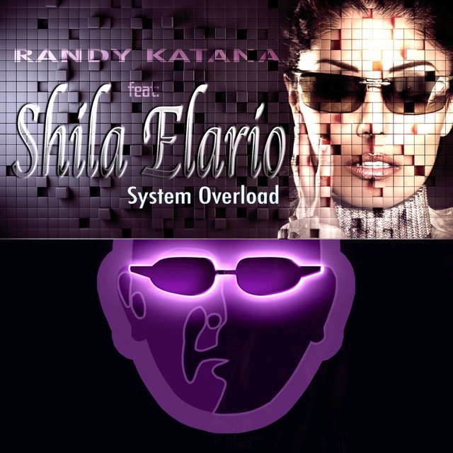 System Overload