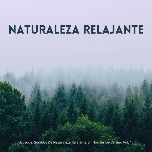 Bosque: Sonidos De Naturaleza Relajante En Noches De Verano Vol. 1