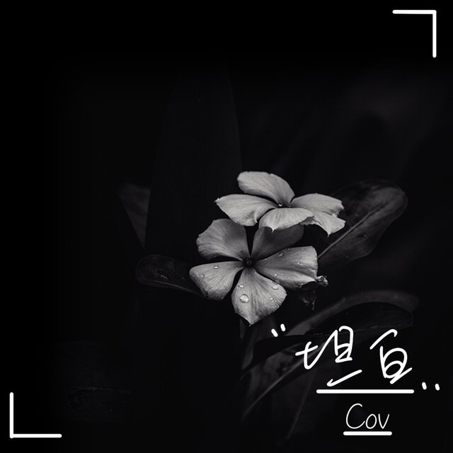 坦白