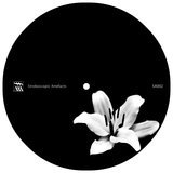 Fixing the Error (Original Mix)