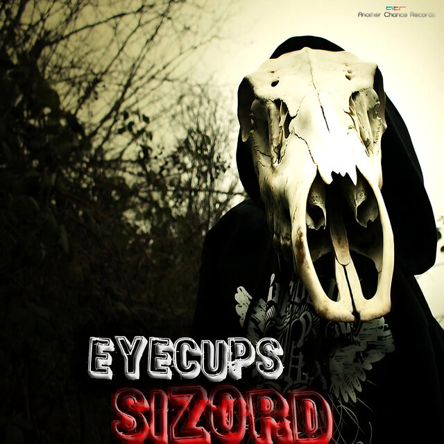 Eyecups
