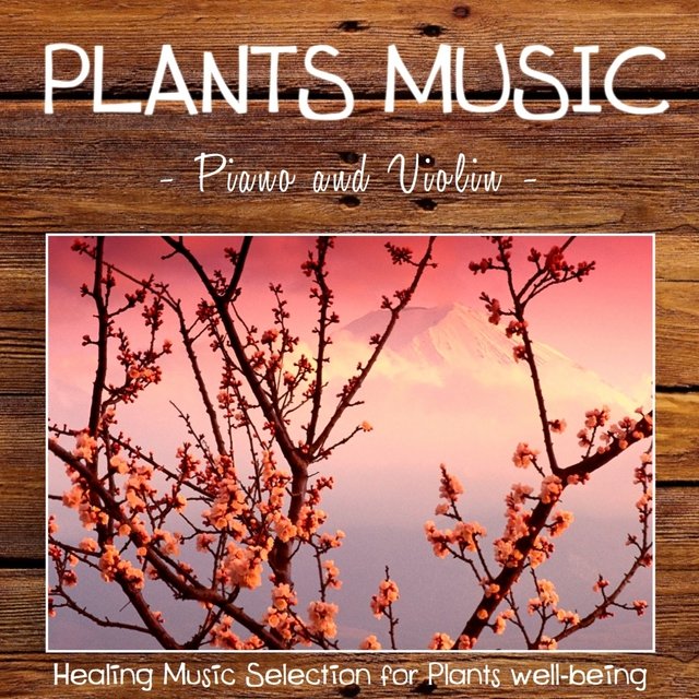 Plants Music: Piano and Violin (Healing Music Selection for Plants Well-Being)