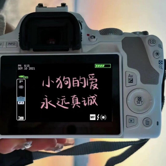 阿拉斯加海湾