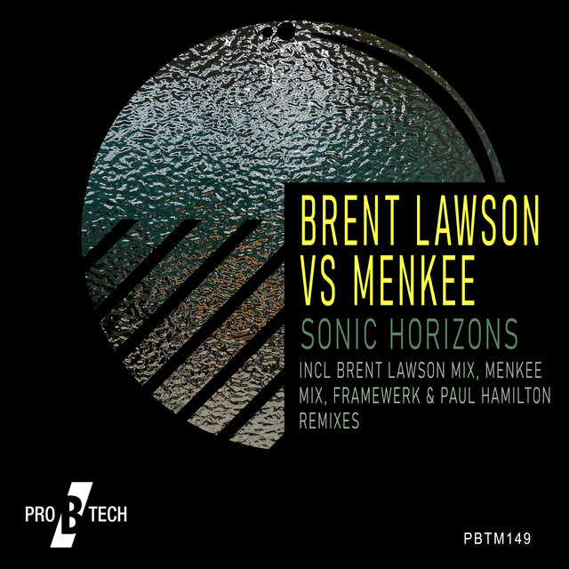 Sonic Horizons