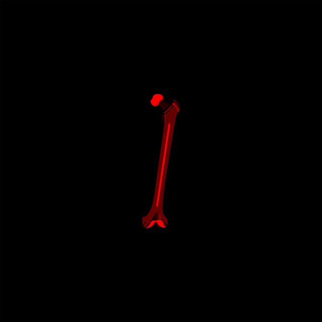 Femur