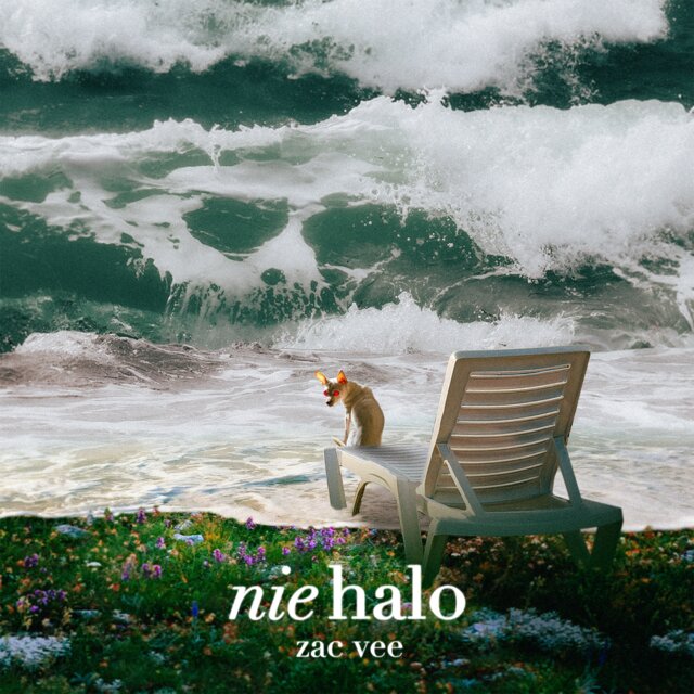 nie halo