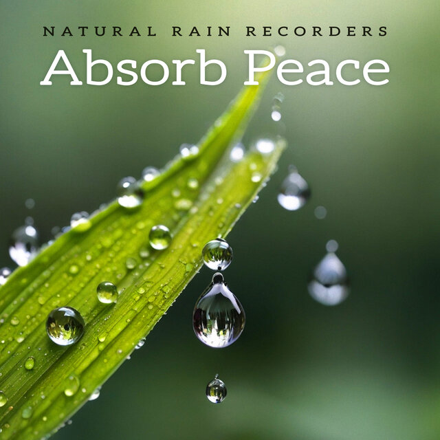 Absorb Peace