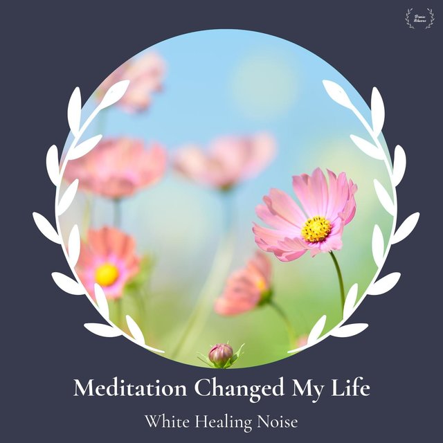 Meditation Changed My Life - White Healing Noise