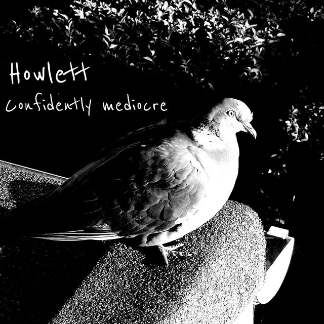 Confidently Mediocre