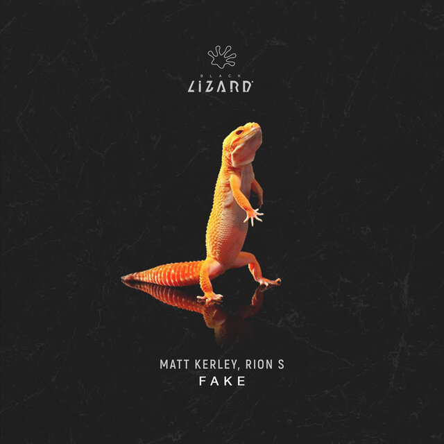 Fake (Extended Mix)
