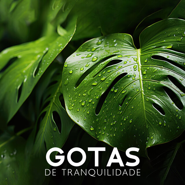 Gotas de Tranquilidade (Mãe Natureza Calma, Pássaros do Bosque, Canções Calmantes da Natureza)