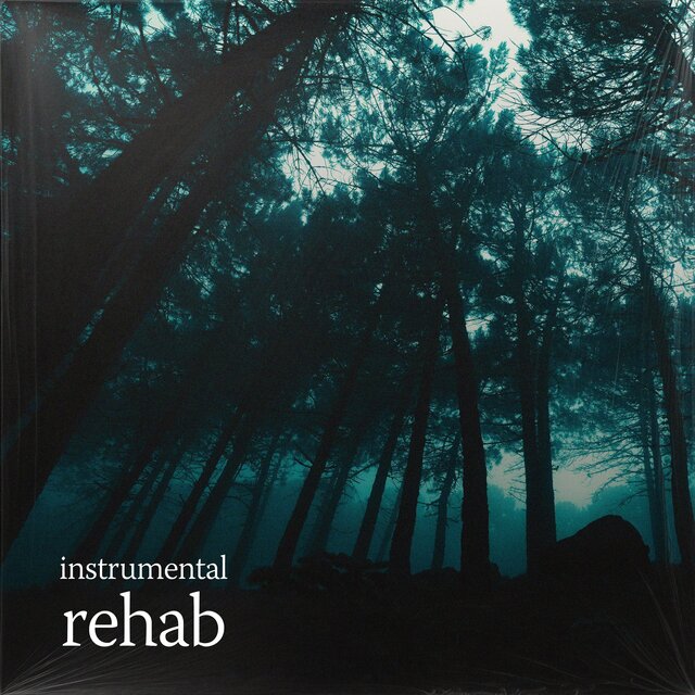 rehab (no/vox’s version)