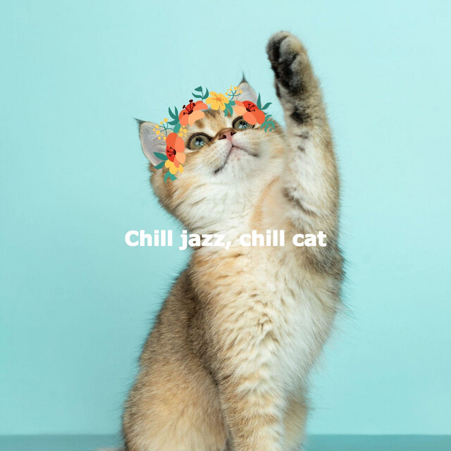 Chill jazz, chill cat