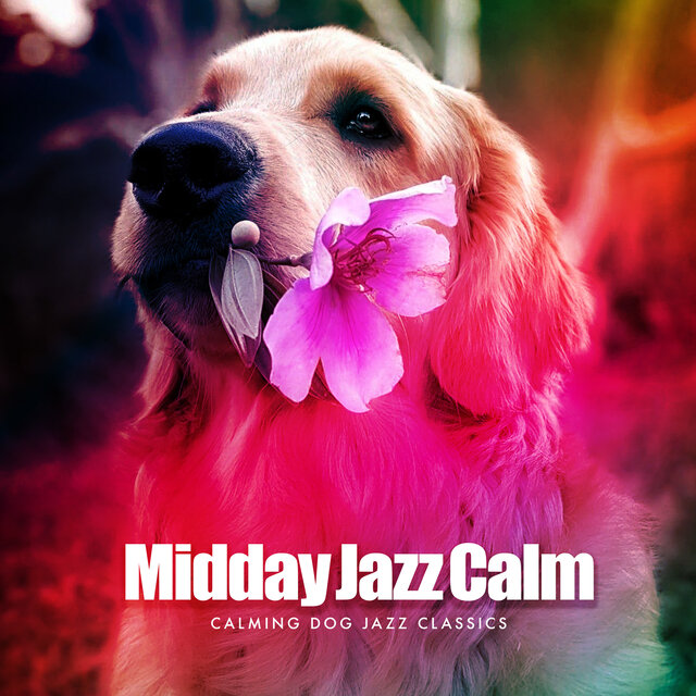 Midday Jazz Calm