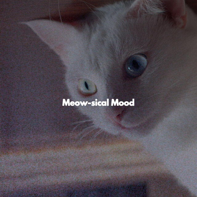 Meow-sical Mood