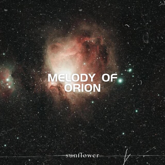 Melody of Orion