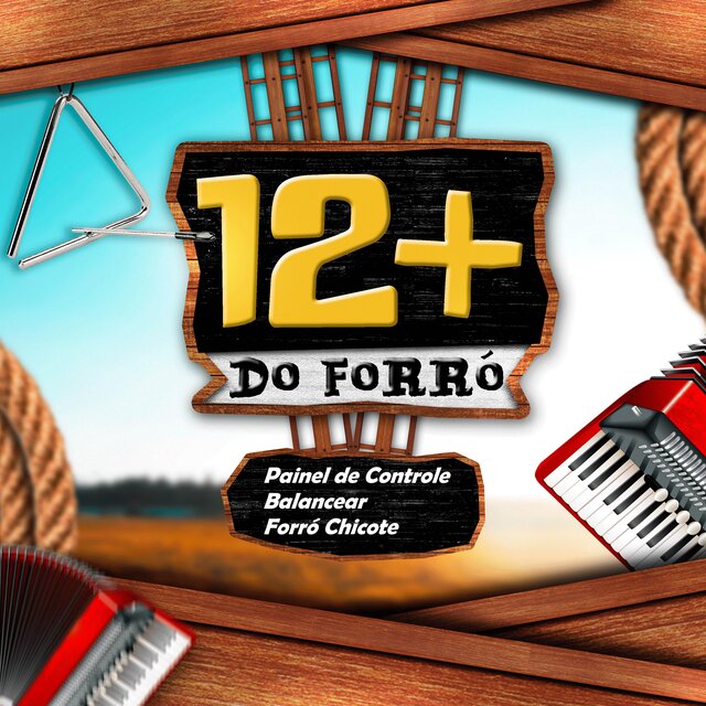 12+ Do Forró (Vol. 2)